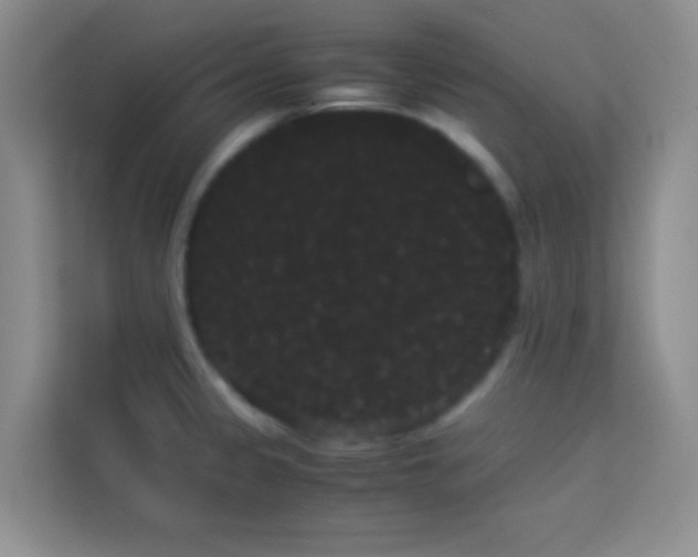 X0000114191333200910091224