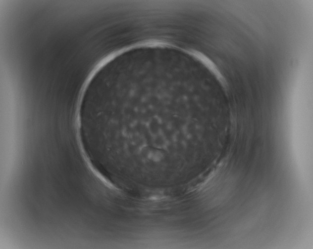 X0000114191335200910091224