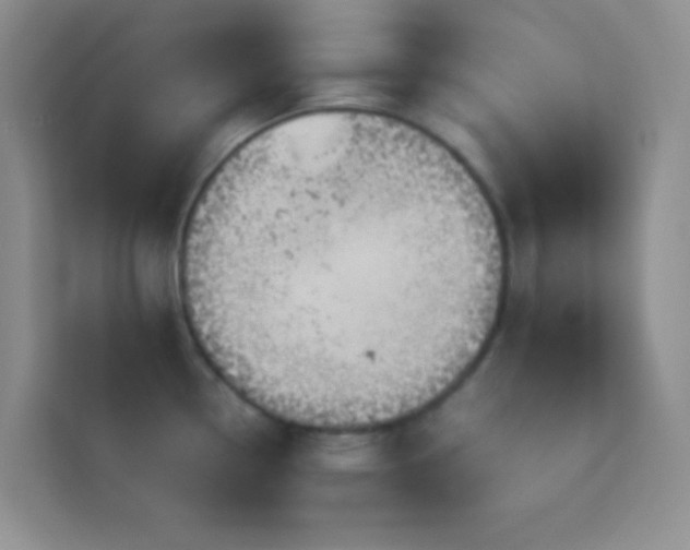 X0000114191338200910091224