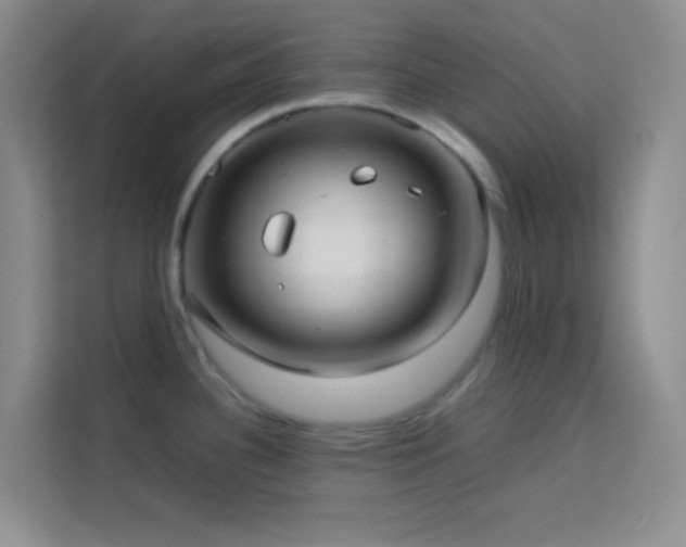 X0000114191340200910091224