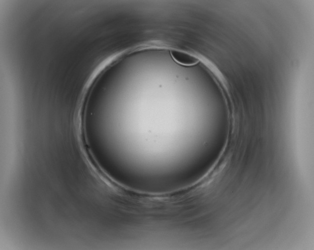 X0000114191341200910091224