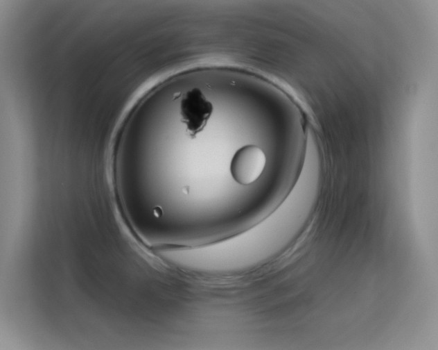 X0000114191342200910091224