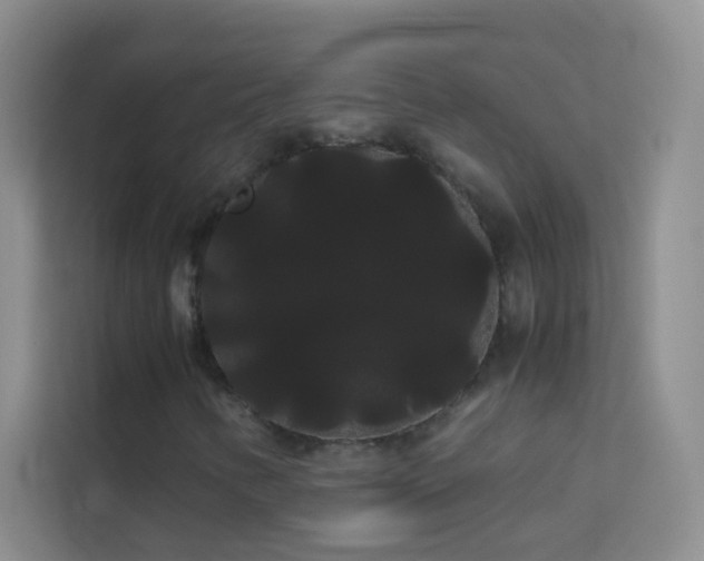 X0000114191346200910091224