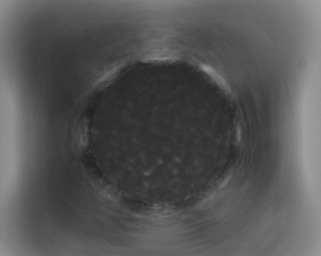 X0000114191350200910091224