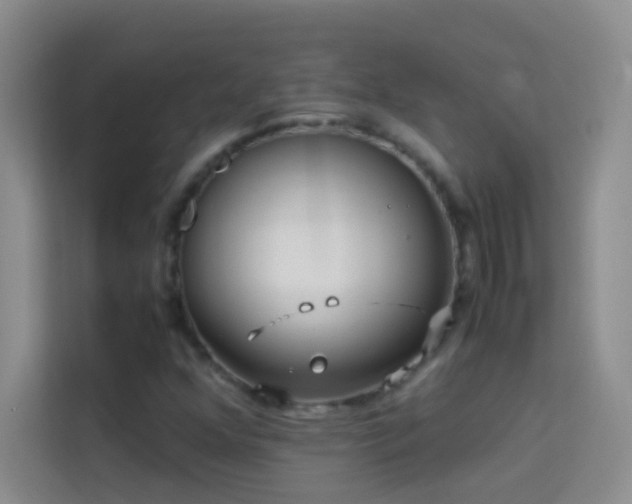 X0000114191352200910091224