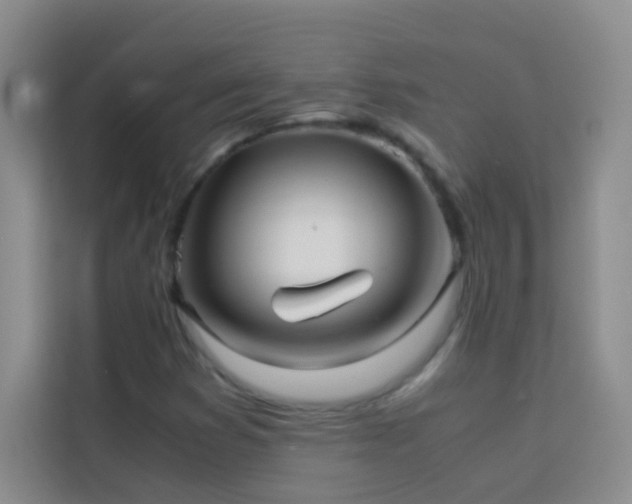 X0000114191353200910091224