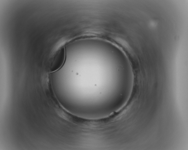 X0000114191355200910091223