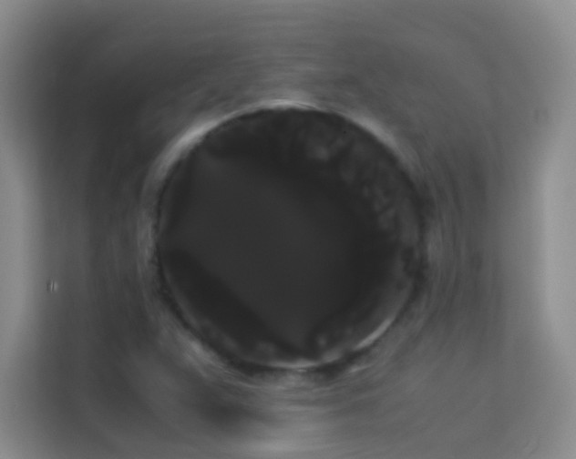 X0000114191359200910091223