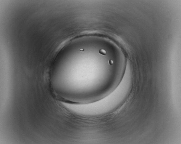 X0000114191361200910091223