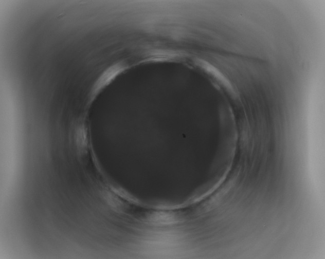 X0000114191362200910091223