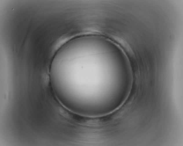 X0000114191363200910091223
