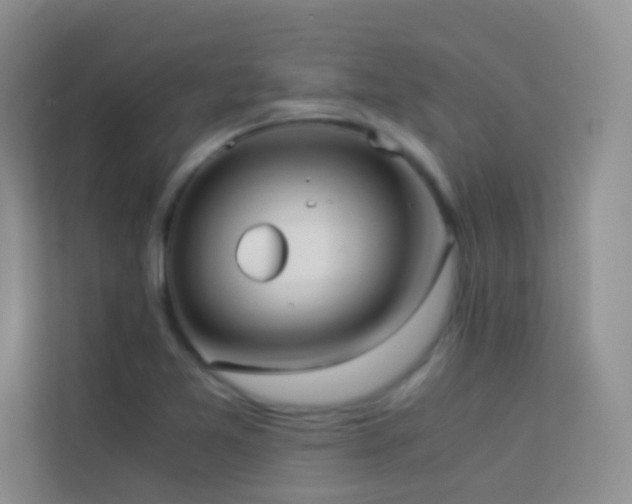 X0000114191365200910091223