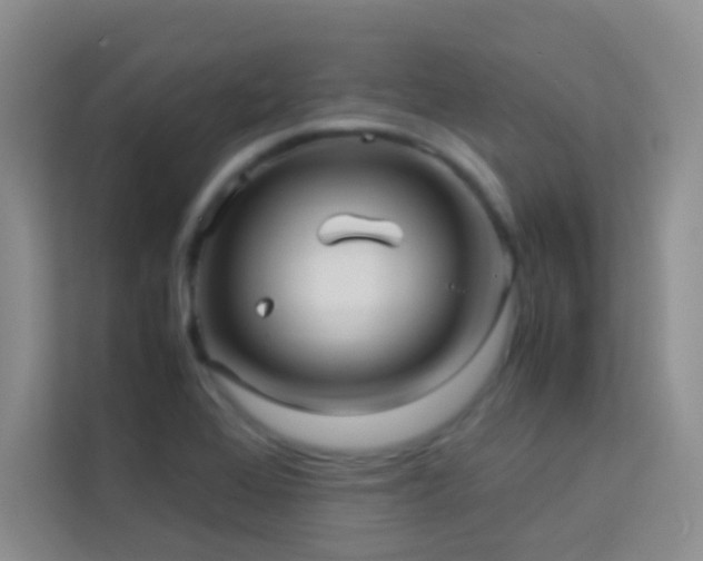 X0000114191368200910091223