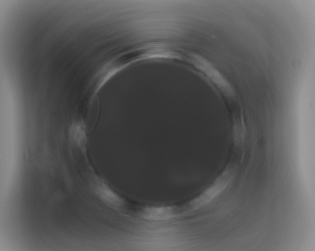 X0000114191369200910091223