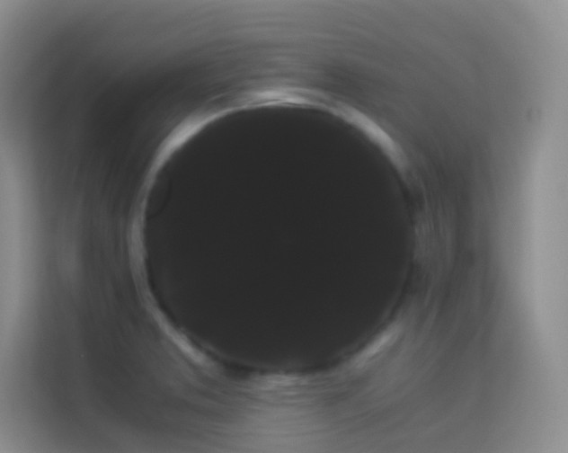 X0000114191373200910091223