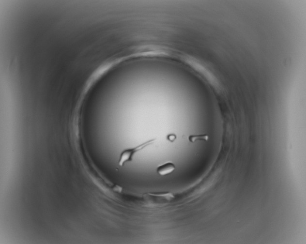 X0000114191375200910091223