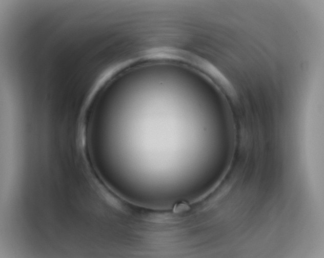 X0000114191376200910091223