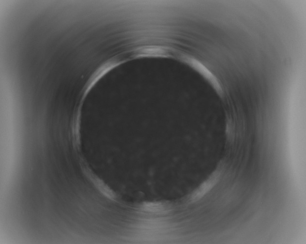 X0000114191378200910091223
