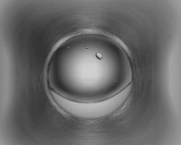 X0000114191381200910091223