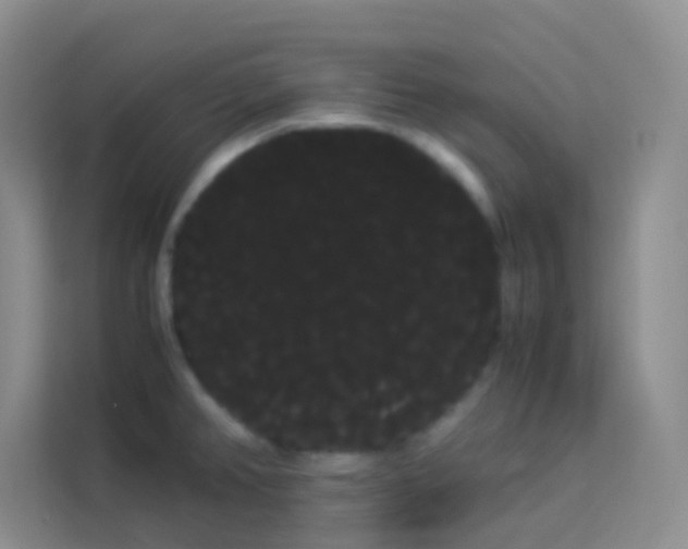 X0000114191382200910091223