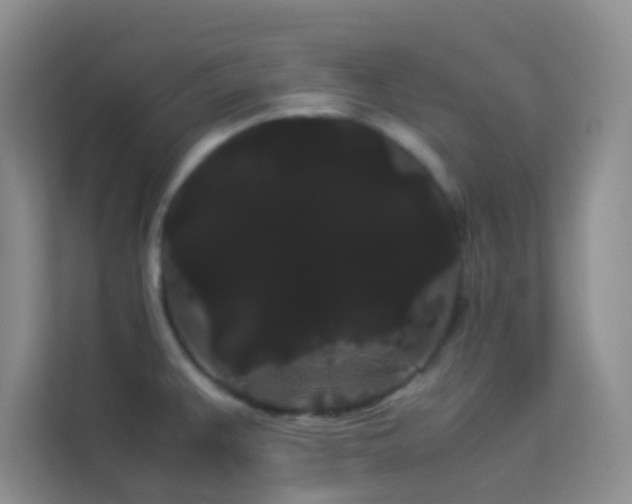 X0000114191383200910091223