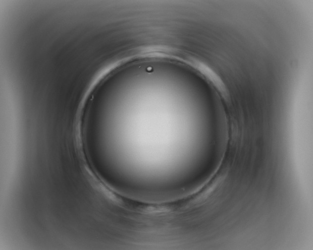 X0000114191384200910091223