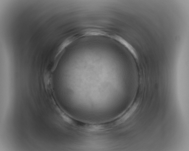 X0000114191385200910091223
