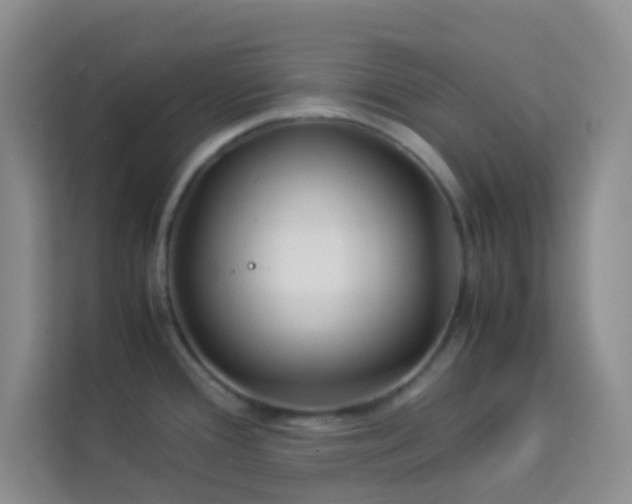X0000114191388200910091223