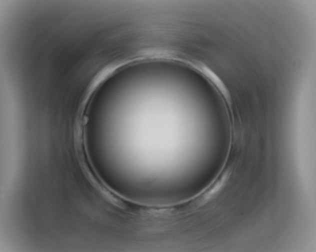 X0000114191389200910091223