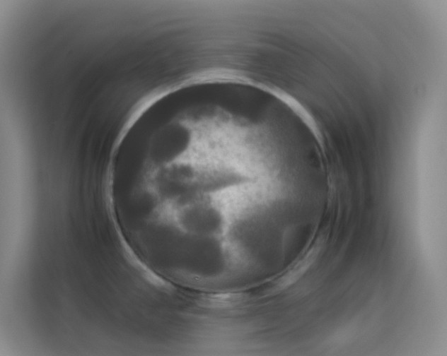 X0000114191390200910091223