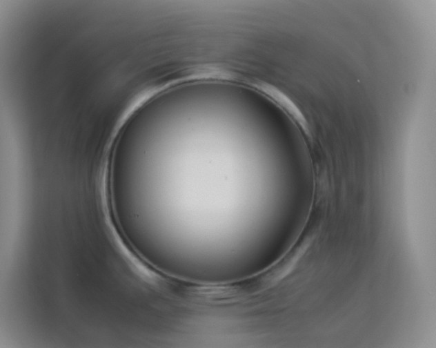 X0000114191391200910091223