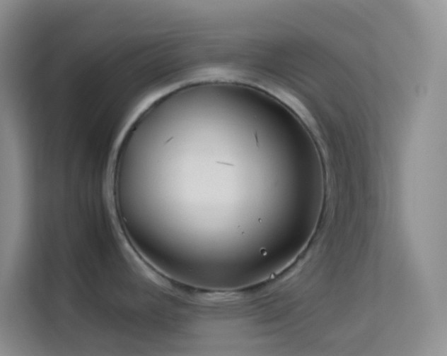 X0000114191392200910091223