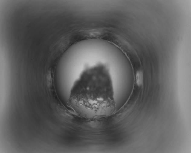 X0000114191395200910091222