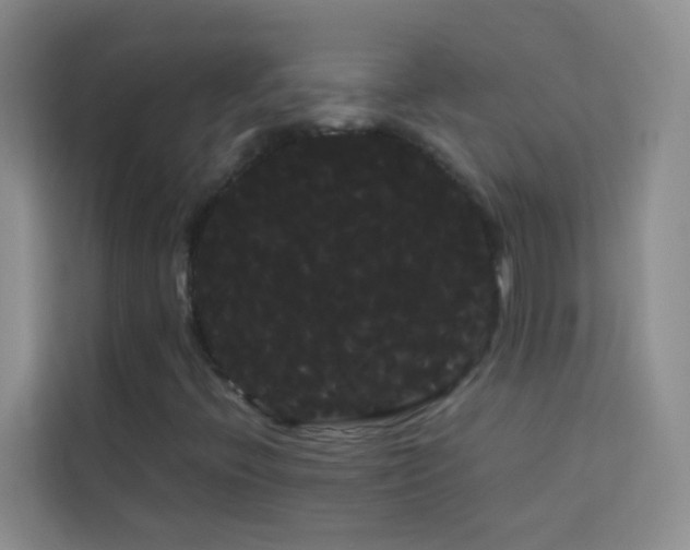 X0000114191396200910091222
