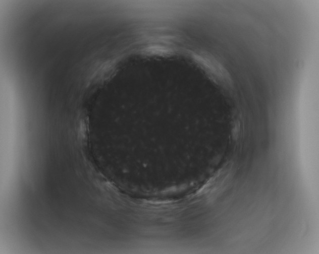 X0000114191397200910091222