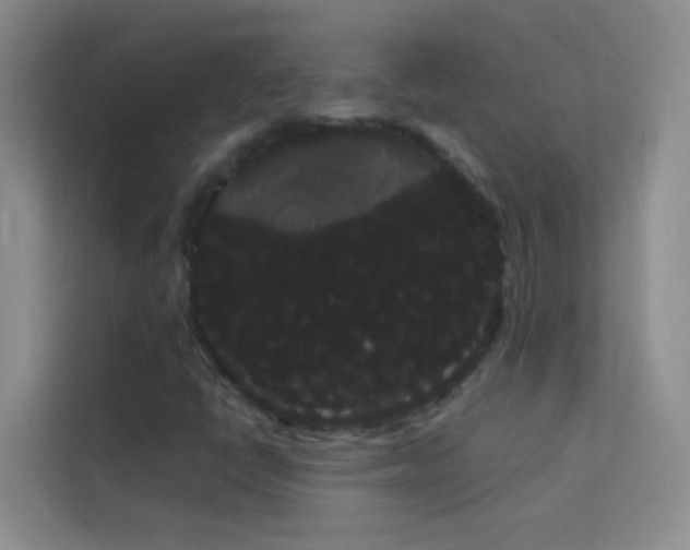 X0000114191398200910091222