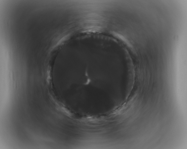 X0000114191399200910091222