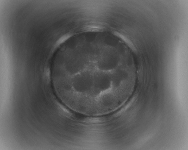 X0000114191402200910091223