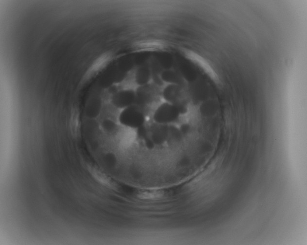 X0000114191403200910091223