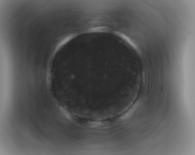X0000114191405200910091223