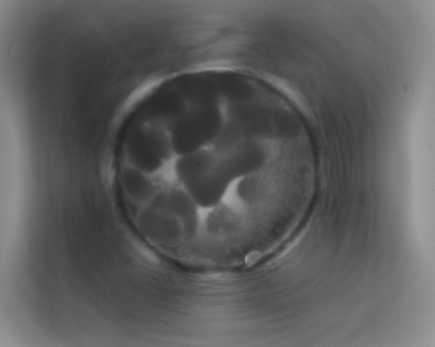 X0000114191406200910091223