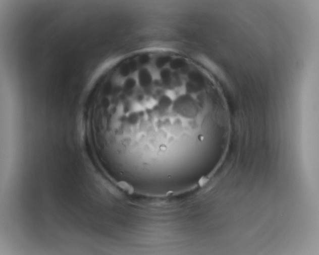 X0000114191408200910091223