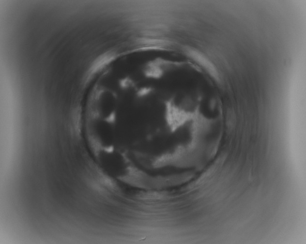 X0000114191411200910091223