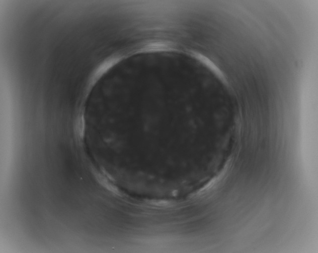 X0000114191413200910091223