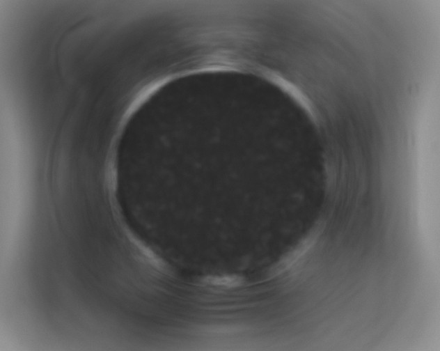 X0000114191415200910091223