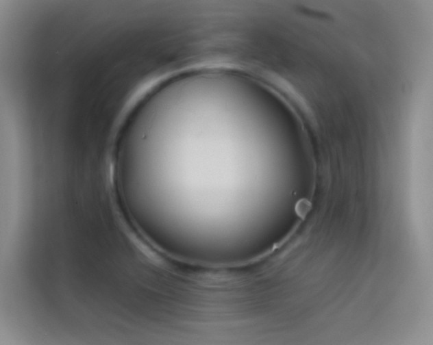 X0000114191416200910091223