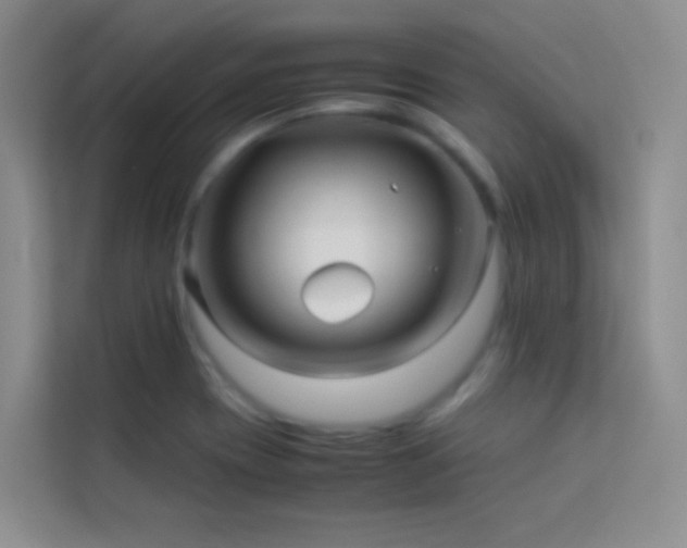 X0000114191417200910091223