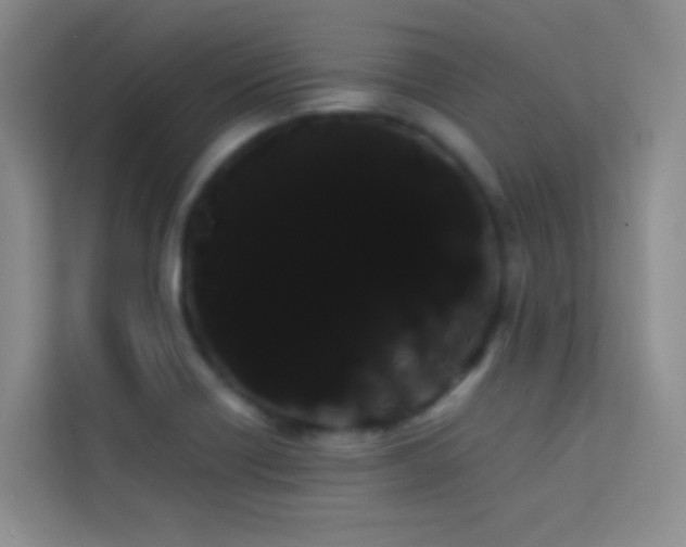 X0000114191418200910091223