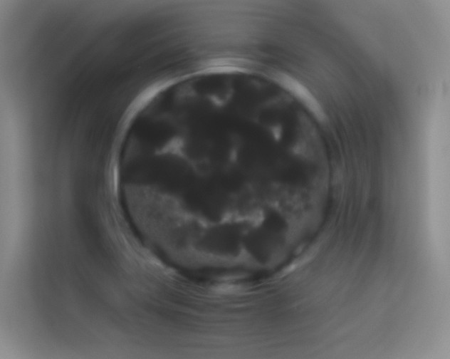 X0000114191419200910091223