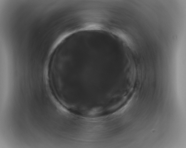 X0000114191422200910091223